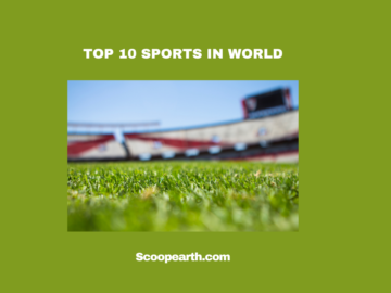 Top Sports In World