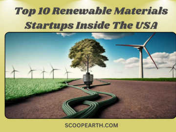 Top 10 Renewable Materials Startups Inside The USA