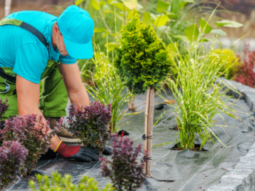 Green Oasis: Transforming Your Space with Professional Garden Services