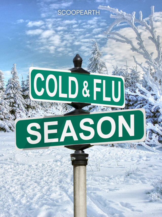 TOP 10 BEST FOODS TO FIGHT A COLD OR FLU