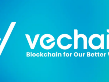 Unveiling the Power of VeChain: Can it Dethrone Ethereum or Solana?
