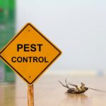 Five Ways You Can Protect Your Pantry From Pests