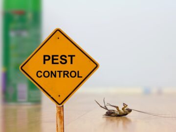 Five Ways You Can Protect Your Pantry From Pests
