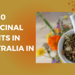 Top 10 Medicinal Plants in Australia in 2024