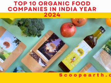 Top 10 Organic Food Companies in  India Year 2024
