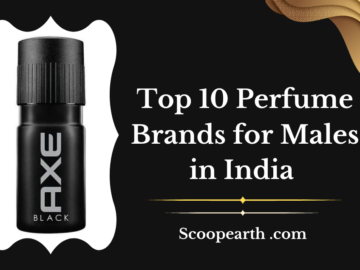 Perfume Brands for Males