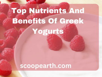Top Nutrients And Benefits Of Greek Yogurts