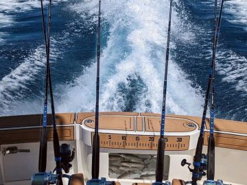 Mastering the Waters: Essential Guide to Fishing Charter Success in Islamorada