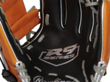 Fielding Excellence: Revealing the Artistry behind Rawlings Gloves
