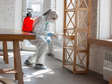 Getting the Best out of Mold Remediation in Grand Rapids