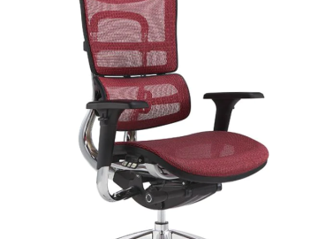 Ergonomic Chairs vs. Regular Office Chairs: What's the Difference?