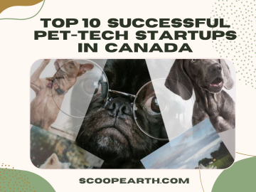 Top 10 Successful PetTech Startups in Canada