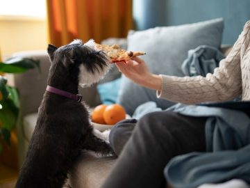 Nutrition Basics for Your Dog: Feeding for Optimal Health and Well-being