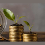 Indian startups raised $43 million this week led by Neo Growth, Stable Money, and Incuspaze 