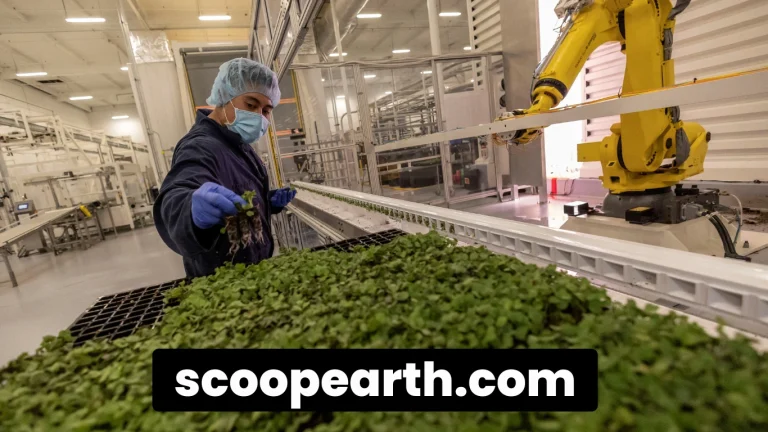 Vertical Farming Startup Plenty to Expand via $680 Million JV with UAE’s Mawarid