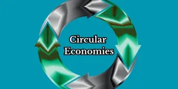Circular Economies in Business