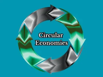 Circular Economies in Business