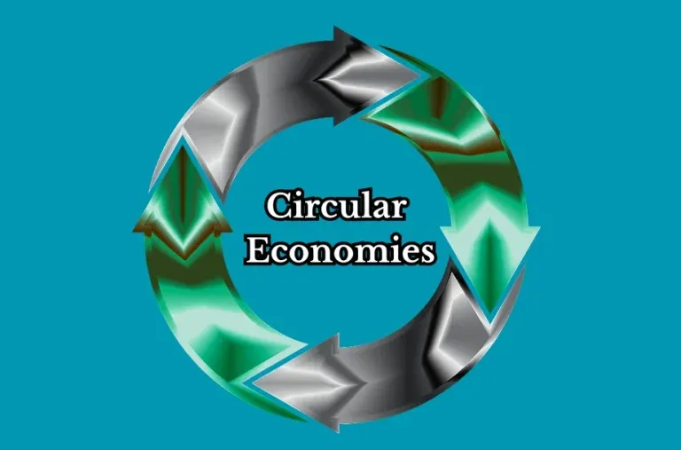 Circular Economies in Business