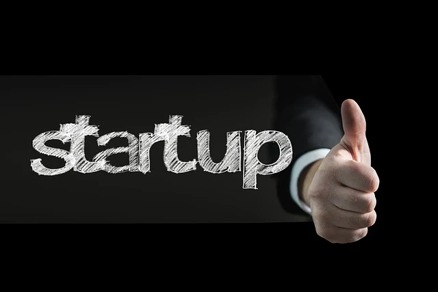 Minimalist Startups